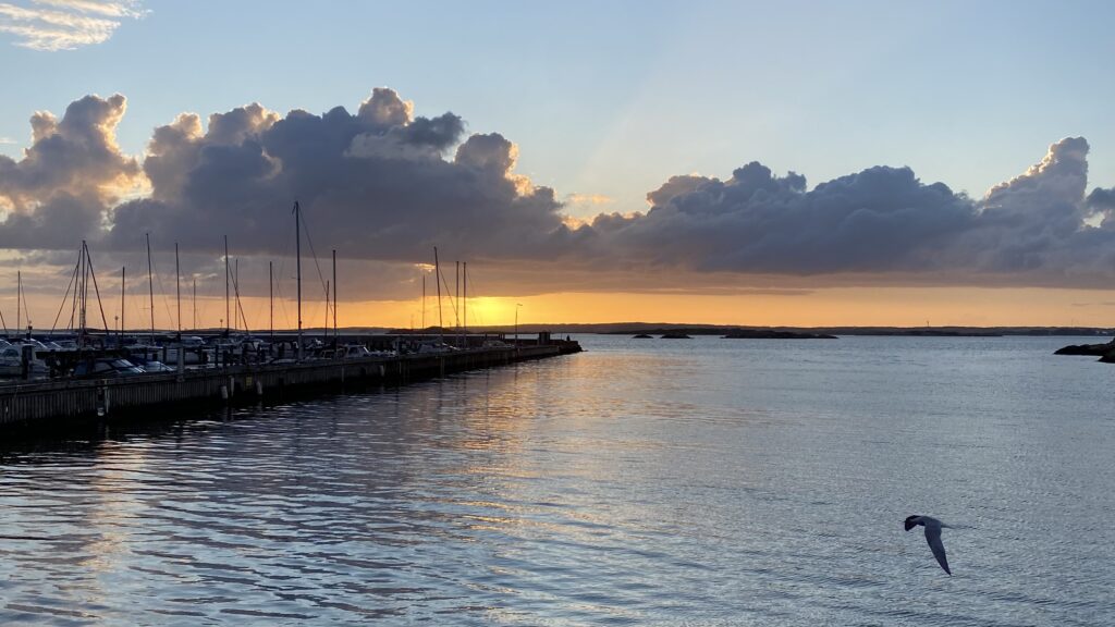 för det som inte längre går att laga